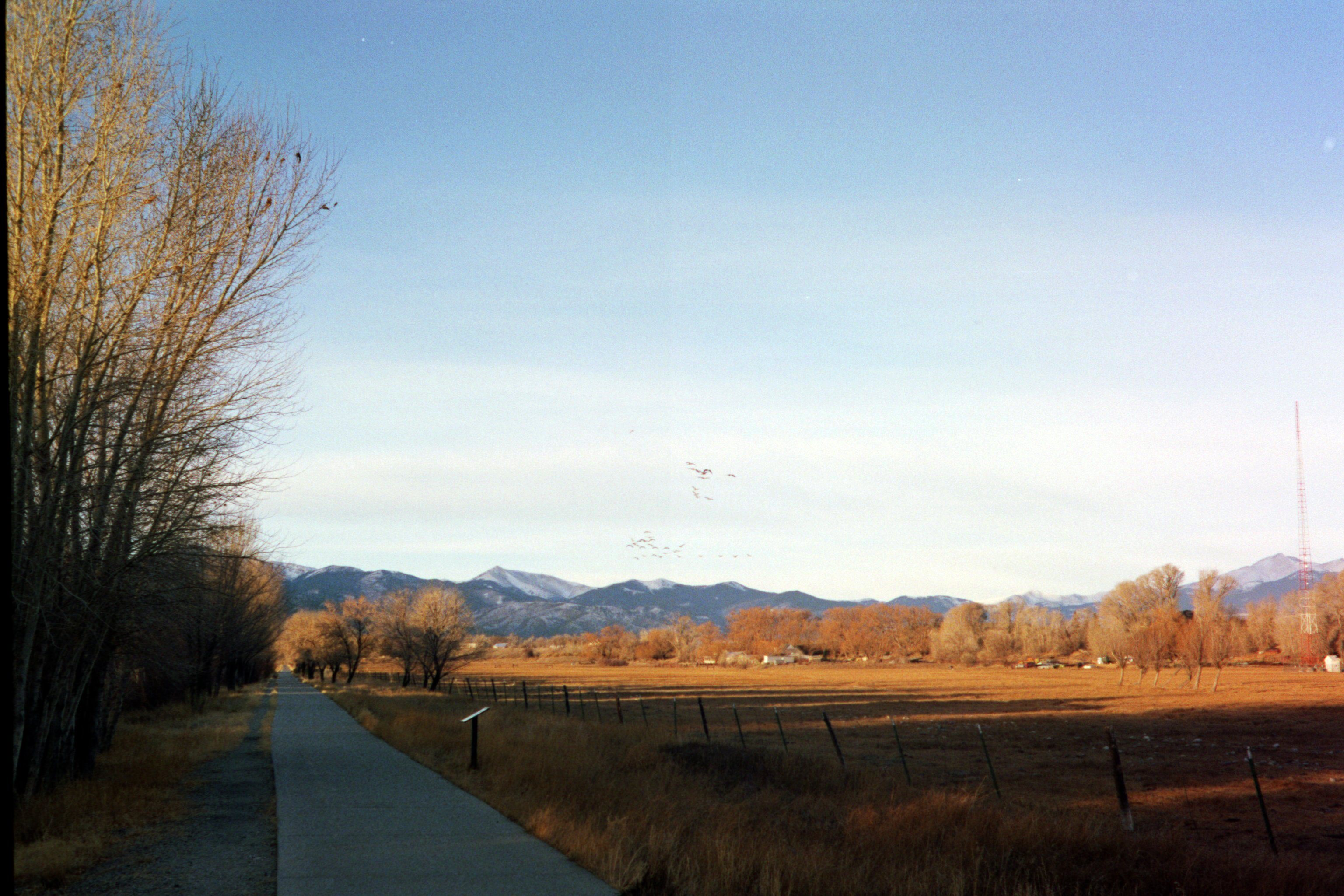 Birds flying over a small meadow as the rocky mountains and a tall radio tower stretch into the sky in the background